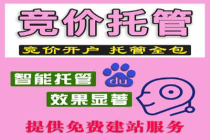SEM广告投放的创意表现力优秀案例